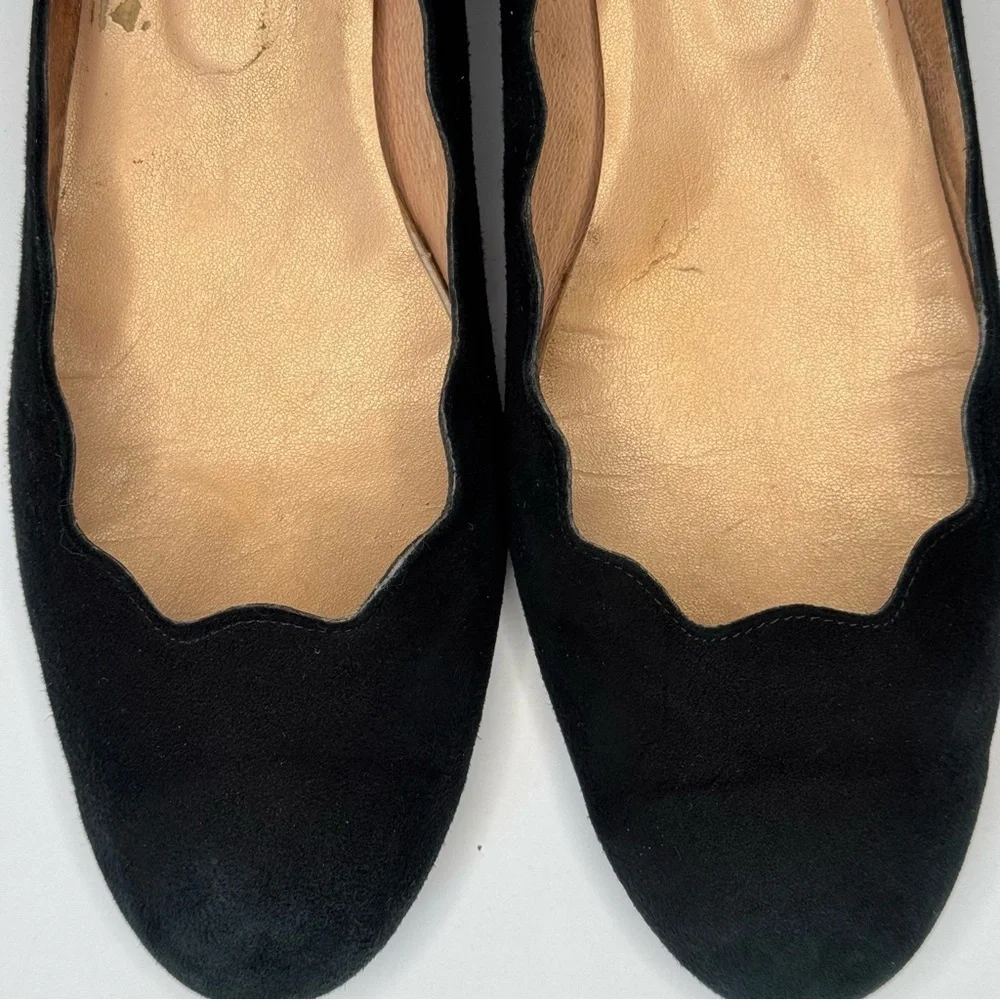 French Sole size 10